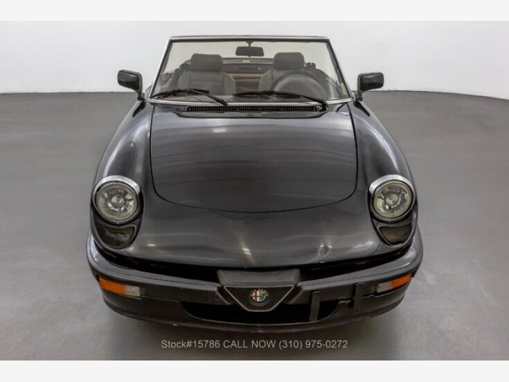 Thumbnail Photo undefined for 1987 Alfa Romeo Spider Quadrifoglio